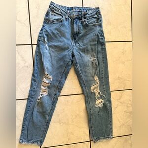 Wild fable high rise mom jeans